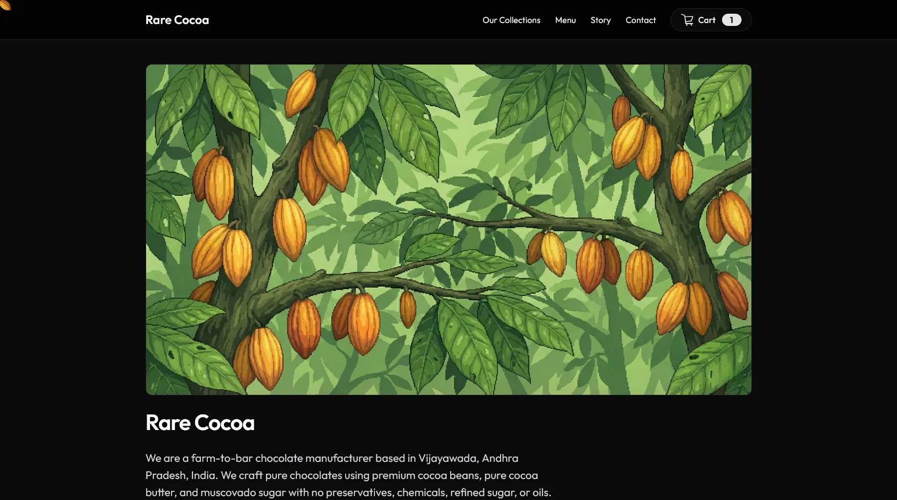 Rare Cocoa dark farm-to-bar chocolate storefront